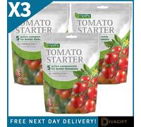 SuperGift.com 3X Empathy Tomato Starter 6 Biscuits
