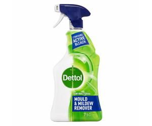 SuperGift.com Dettol Mould & Mildew Remover Spray 750Ml