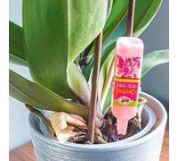 SuperGift.com Doff Orchid Drip Feed Liquid 5 Pack Ready-To-Use Orchid Plant Food Feeders For Healthy Growth, Root Development, Flowering & Indoo