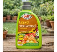 SuperGift.com Doff Seaweed Concentrate Liquid 1L