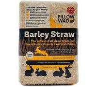 SuperGift.com Pillow Wad Large Bio Barley Straw 2Kg Dust Extracted Small Animal Bedding