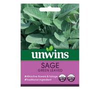 SuperGift.com Unwins Sage Green Leaved Easy To Grow