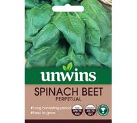 SuperGift.com Unwins Spinach Beet Perpetual Easy To Grow