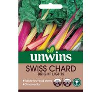 SuperGift.com Unwins Swiss Chard Bright Lights