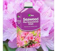 SuperGift.com Vitax Seaweed Plus Sequestered Iron Liquid 500Ml Plant Feed For Healthy Green Growth, Flowers, Vegetables, Fruit Plants, Shrubs &