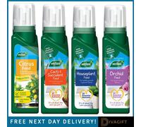 SuperGift.com Westland Bonsai Liquid Plant Feed 200Ml