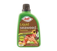 SuperGift Multi-Purpose Liquid Seaweed Concentrated Feed, Organic and Natural Plant Growth Stimulant (1L Liquid Seaweed)