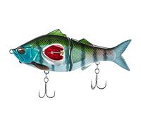 Superior Water Bass Fishing Lures, Saltwater Fishing Lures, Bass Fishing Lures - Trout Lures, Innovative Fishing Lures for Bar, Sea, Shallow Waters, Rivers, Pro Waters