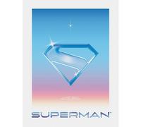 Superman 2025 Logo Canvas Print