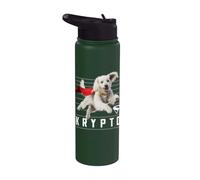 Superman (2025 Movie) Krypto Lines Stainless Steel Insulated Water Bottle