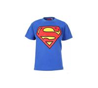 Superman Boys Logo T-Shirt