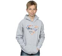 Superman Floral Logo 2 Hoodie DC Comics Grey 5-6 Years