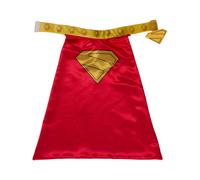 (S, Red/Gold) Superman Krypto Dog Costume