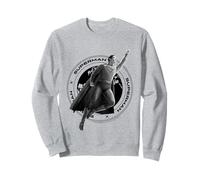 Superman New Design Logo 2025 Sweatshirt