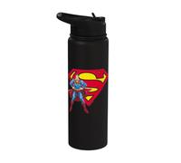 Superman Superman & Logo Stainless Steel Insulated Water Bottle