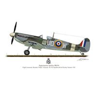 Supermarine Spitfire Aircraft Plane 1941 Profile Artwork, A4 Glossy Photo Print Paddy Finucane Second World War WW2 Signed