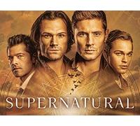 Supernatural: Season 15