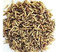 Superpet Dried Calciworms - High-Calcium Protein Treats for Birds, Fish, Reptiles & More, Similar to Mealworms (4Kg)