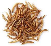 Superpet Dried Mealworms for Wild Birds - High-Protein, Nutritious Treats for Robins, Sparrows, Tits & More (15Kg)