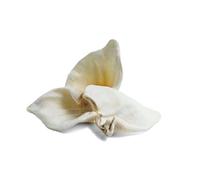 Superpet Natural Treats For Dogs- Ears White Puffed Pig Ears 10 Pk