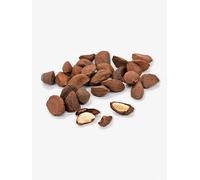 Superpet Premium Brazil Nuts in Shell, Natural Squirrel Food Unsalted 2KG