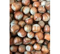 Superpet Premium Hazelnuts in Shells - Natural, Nutritious Treats for Wild Birds and Squirrels (1kg)