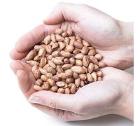 Superpet Premium Peanuts for Wild Birds, Shelled Kernels, No Mess Bird Food for Robins, Blackbirds, Woodpeckers & Garden Birds, High-Energy Alternative to Bird Seed (500g)