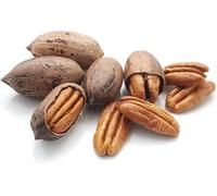 Superpet Premium Pecan Nuts in Shells, Natural Squirrel Food and Parrot Food Enrichment Treat, Unsalted Bird Nuts for Wild Birds and Garden Wildlife Feeding, 500g