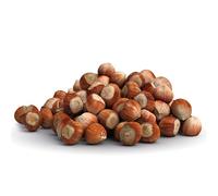 Superpet Premium Whole Hazelnuts in Shell for Wild Bird Food and Squirrel Food, Natural High Energy Bird Food for Garden Wildlife Nutrition and Feeders (500g)
