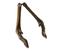Superpet Roe Deer Legs Natural Dog Chews, High-Protein, Grain-Free 1 Pack