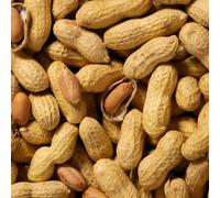 Superpetstoreuk247 3 Kg Peanuts In Shell For Wild Birds Monkey Nuts Whole Unsalted Bird Food