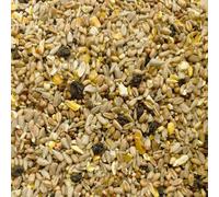 Superpetstoreuk247 4Kg Johnston & Jeff Superior Wild Bird Food With Fruit