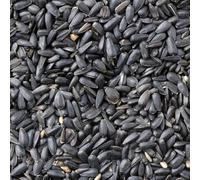 Superpetstoreuk247 Johnston & Jeff Black Oil Sunflower Seeds 2Kg Wild Bird Food