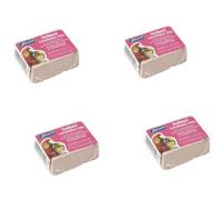 Superpetstoreuk247 Vet Iodised Condition Pack For Caged Birds Iodine, Calcium & Seaweed Blend For Gut Balance & Daily Care Pack Of 4