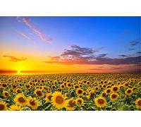 SUPERPOWER® 1000 Piece Sunflowers Flower Sea Sunset Landscape Adults Games Wooden Jigsaw Puzzles Toys Family Photo Frame Gifts