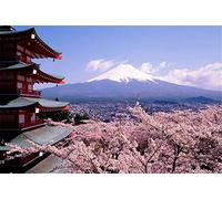 SUPERPOWER® Premium 1000 Piece Wooden Jigsaw Puzzle Games Mount Fuji Cherry Blossoms Pattern Floor Puzzles Toys Home Photo Frame Wall Decoration Gifts