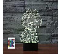 SUPERRUIDALONG 3D Poodle Remote Control 16 Color Night Lights Illusion Acrylic LED Table Bedside Lamp Children Bedroom Desk Decor Birthday Gifts Toy for Kids