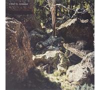 Superstar - A Toast To... Superstar [VINYL]