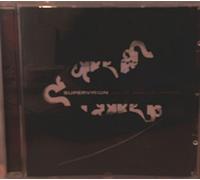 Supervision - Supervision - Day Of Small Beginnings