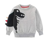 SUPFANS Boys Cute Dinosaurs Sweatshirts Pullover Cotton T-Rex Long Sleeve Tops Toddlers T-shirt (01 Gray, 2 Years)