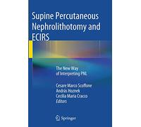 Supine Percutaneous Nephrolithotomy and ECIRS: The New Way of Interpreting PNL