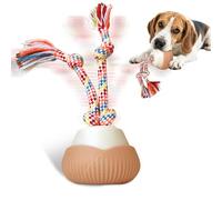 Supore Interactive Dog Toys Ball with Sound Recording Function, Moving Dog Toy for Small and Large Dogs, Chase Buddy Dog Birthday Toy with Bird Call for Relieving Boredom, Attracting Pet's Attention