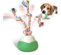 Supore Interactive Dog Toys Ball with Sound Recording Function, Moving Dog Toy for Small and Large Dogs, Chase Buddy Dog Birthday Toy with Bird Call for Relieving Boredom, Attracting Pet’s Attention