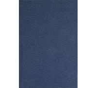 Supplied Jurisdiction According to Canon 209 (Studies in Canon Law)