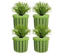 Support for Aquarium Plants - Stable Fixation for Natural or Artificial Plants - Ideal for Freshwater or Wasseraa Aquariums - Suction Cups or Clips Included - , Si