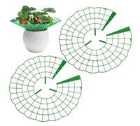Support for Strawberry Plants, Protective 31 cm, 2-Piece Set, Reusable, Circular, Strawberry Plant Support Stand, for the Garden, Balcony, Courtyard, Patio, Farmland as well as for Blueberries and