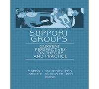Support Groups : Current Perspectives on Theory and Practice