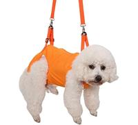 Support the sling for dogs - lift the auxiliary belt, an adjustable rear belt, pet mobility assistant for dog recovery, hiking comfort injury, rehab, large handle hold