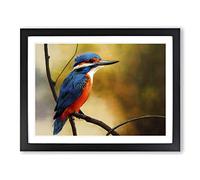 Supreme Kingfisher Bird Framed Print | A2 Black Framed Wall Art | Ready to Hang | Modern Nature Picture | Living Room Bedroom Lounge Office