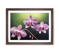 Supreme Orchid Flowers Framed Wall Art Print A2 Walnut | Ready to Hang, Premium Gi Paper, Fade-Resistant Inks, Securely Packaged, UK Made